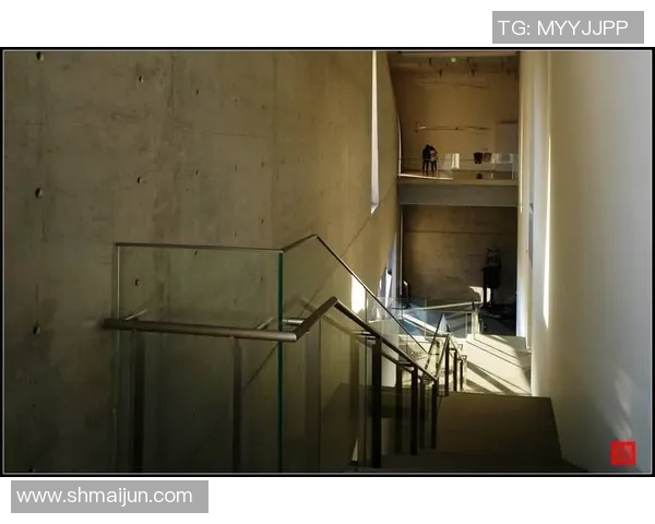 加莱诺的艺术世界探索与文化影响力的深远分析